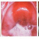 Illustration for article titled Obat Keputihanem/em
